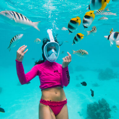 Snorkeling Tour 016