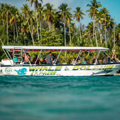 Croisière sur le lagon 007
