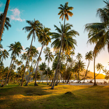 Mo’orea the Sister Island of Tahiti 013